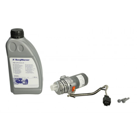 Kit reparación diferencial Kit reparación conjunto diferencial con aceite AUDI A1 A3 Q2 Q3 TT SEAT ALHAMBRA ATECA LEON ST TARRACO SKODA KAROQ KODIAQ OCTAVIA III OCTAVIA IV SUPERB III YETI 1.4-3.6 09.07- BORG WARNER BW2002773_2000884
