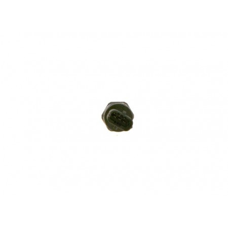 Capteur (pression de carburant) Capteur de pression de carburant JEEP WRANGLER III LANCIA VOYAGER 2.8D 11.10- BOSCH 0 281 006 160