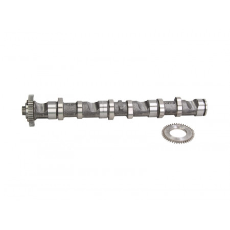 Arbre à cames Arbre à cames Partie d'échappement soupapes d'admission AUDI A4 B6 A4 B7 A6 C5 VW PASSAT B5.5 2.5D 02.00-05.06 AUTLOG NW5023
