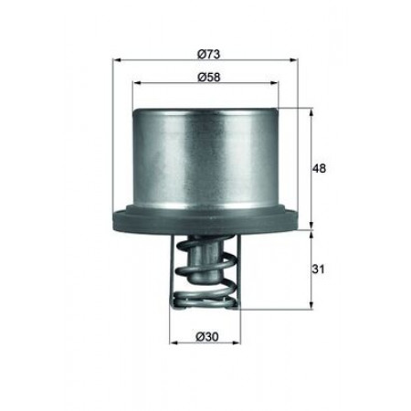 Thermostat, Kühlmittel Kühlsystemthermostat 89C PORSCHE CAYENNE 3.6/4.8 02.07-09.10 MAHLE THD 2 89