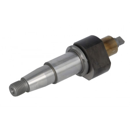 Weitere Elemente des Kraftstoffsystems ... BOSCH F 01M 101 241