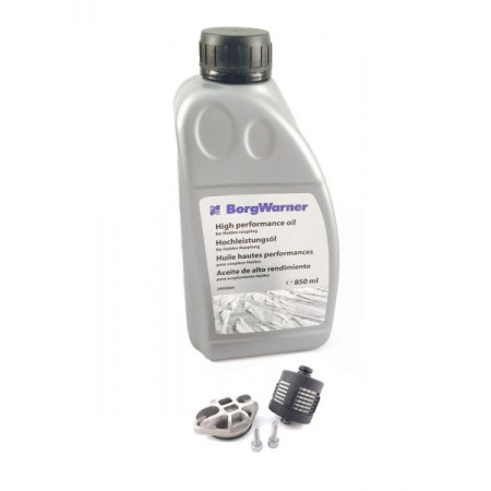 Filtre hydraulique, embrayage à disque de transmission intégrale Filtre à huile différentiel avec huile VOLVO S40 II S60 I S80 I S80 II V50 V70 II V70 III XC70 I XC70 II XC90 I FORD KUGA I LAND ROVER FREELANDER 2 2.0-4.4 04.00-04.16 BORG WARNER BW1203