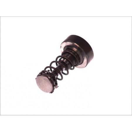 Other elements of the fuel system Piston BOSCH F 01M 101 355